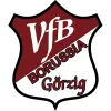 VfB Borussia Görzig
