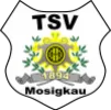 TSV 1894 Mosigkau