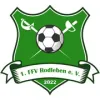 1. FFV Rodleben